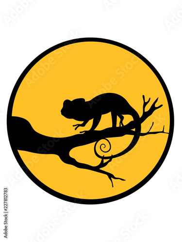 mond nacht horror gruselig halloween rund kreis ast wald baum stamm klettern cool cham  leon leguan eidechse reptil haustier dinosaurier waran s     niedlich klein comic cartoon clipart