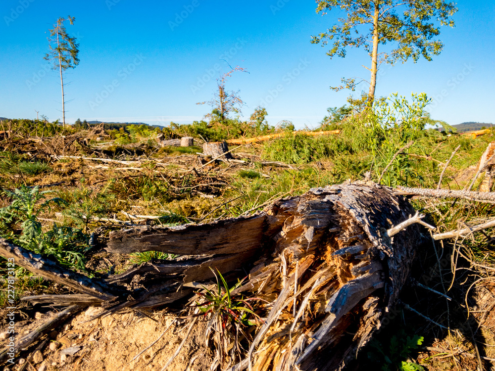 Fototapeta premium tornado aftermath