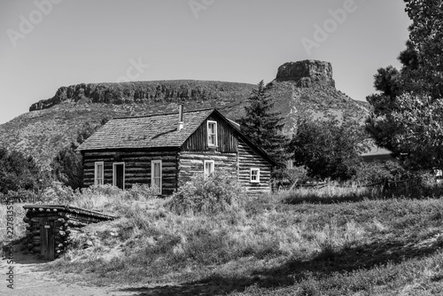 Log Cabin in Black and White