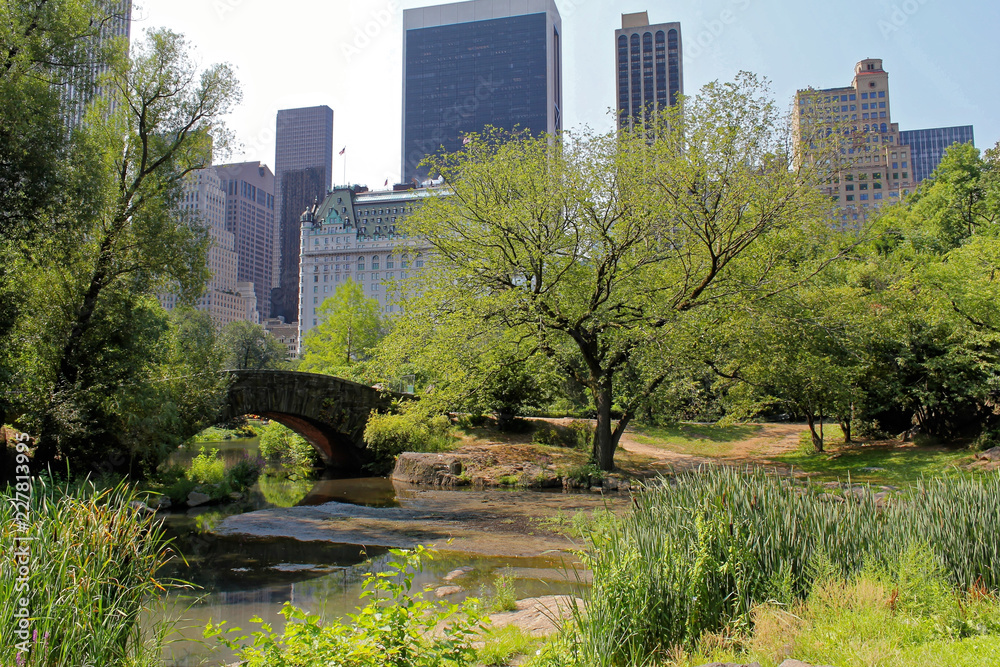 New York City summer in Central Park at the Gapstow bridge New York City summer in Central Park at the Gapstow bridge