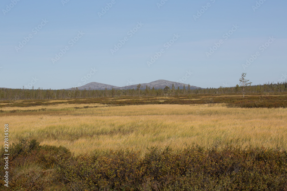 Moor in front of the mountain Pyhätunturi seen from the east