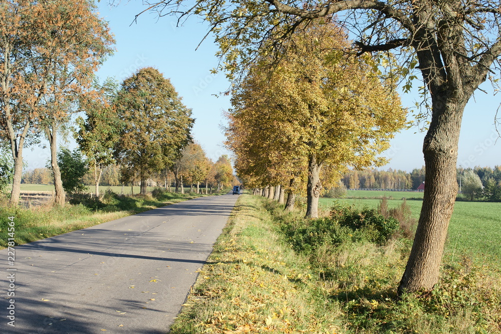 Naklejka premium Droga wiejska