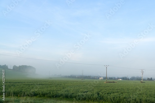 Misty morning on the meadow. Slovakia