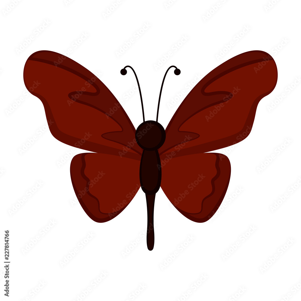 Isolated cute butterfly icon. Vector illustration design