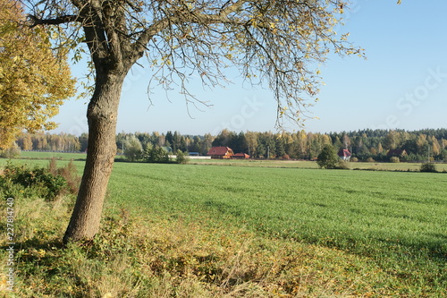 Polska wieś