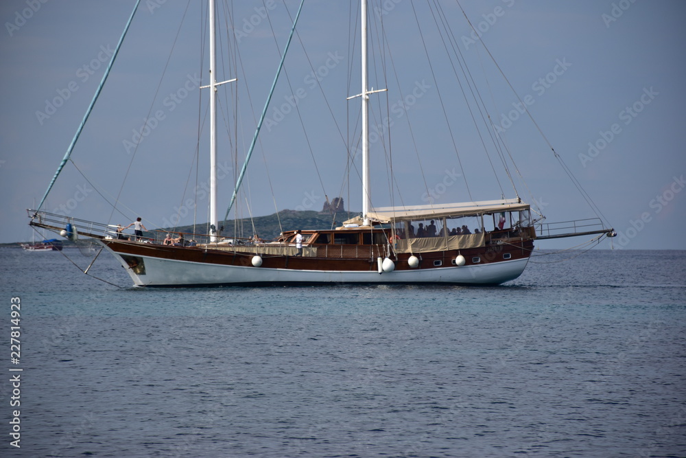 Naklejka premium Caicco