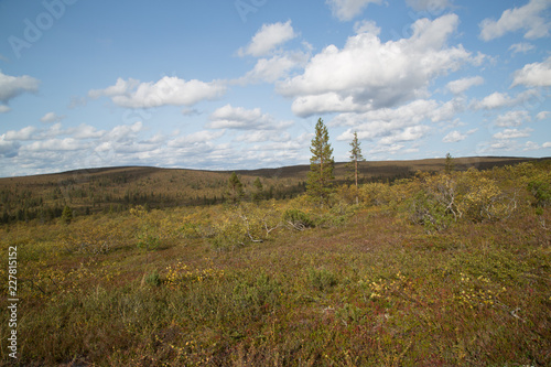 Landscape Kiilopää