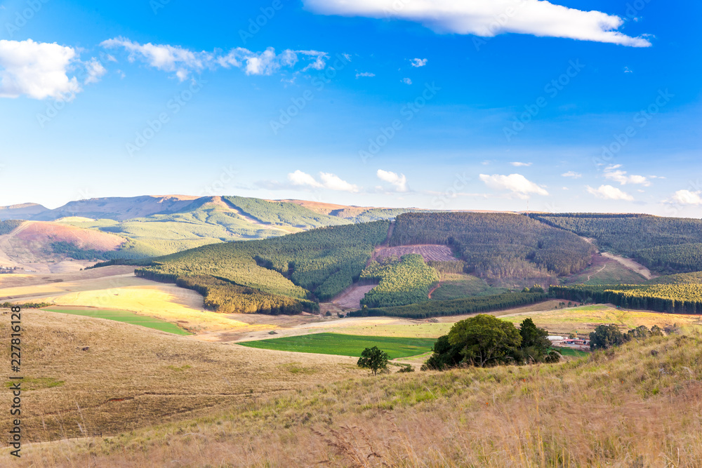  The Dargle valley in Kwa-Zulu Natal is a fertile place with many farms in the area. KZN, South Africa.