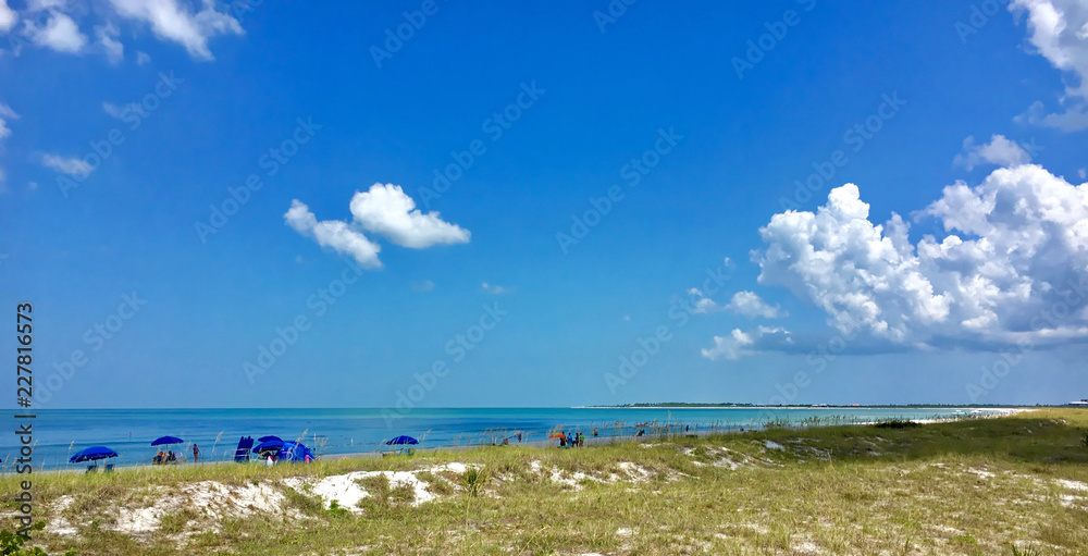 Caladesi island, Florida, USA - July 27, 2018: Beach and palms in Caladesi Island in Florida
