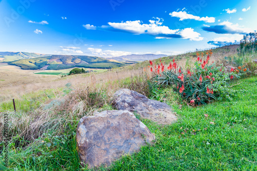  The Dargle valley in Kwa-Zulu Natal is a fertile place with many farms in the area. KZN, South Africa.