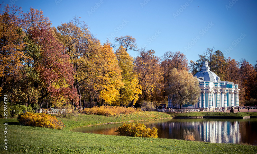 autumn trees and leaves in the park autumn trees and leaves in the park
