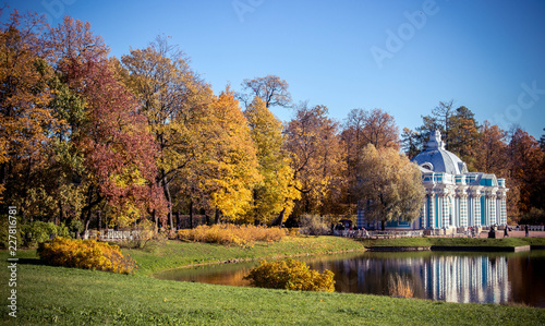 autumn trees and leaves in the park