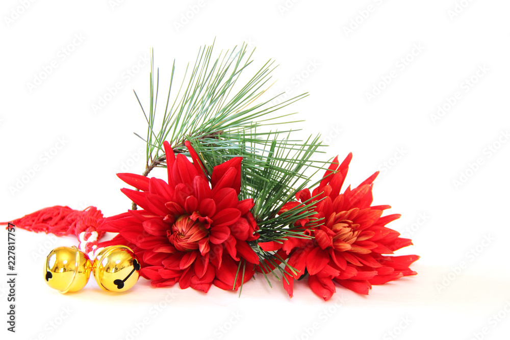 日本の正月ダリアと松の活け花stock Photo Adobe Stock