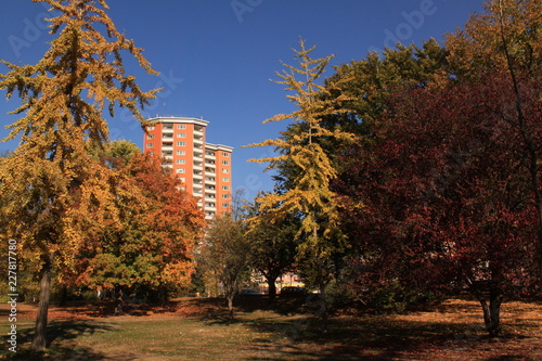 Goldener Oktober im Stadtpark Steglitz photo