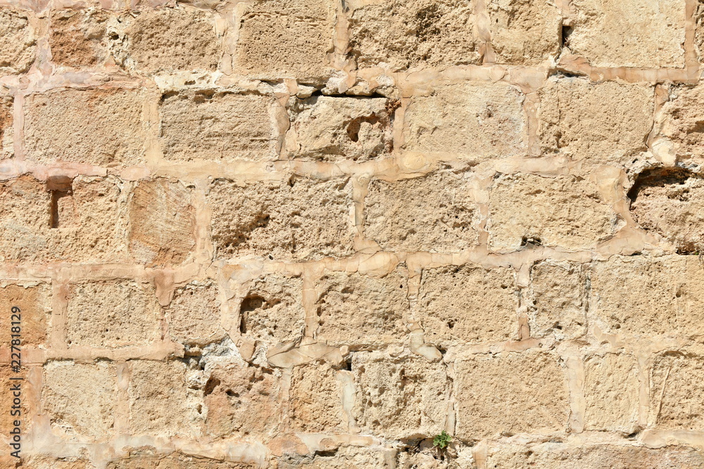 wall wall