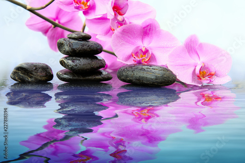 Black spa stones and pink orchids flowers with reflection in water.