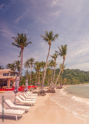 Palm tops at Phu Quoc island, Vietnam, Sao Beach retro vintage photos with sun, clouds, moderate wind almost sunset time, empty beach, almost no people, sand, umbrellas, beach plank bed