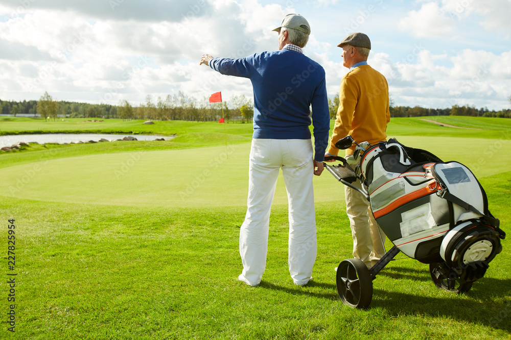 Rear view of two friendly men in casualwear discussing new golf area in natural environment Rear view of two friendly men in casualwear discussing new golf area in natural environment