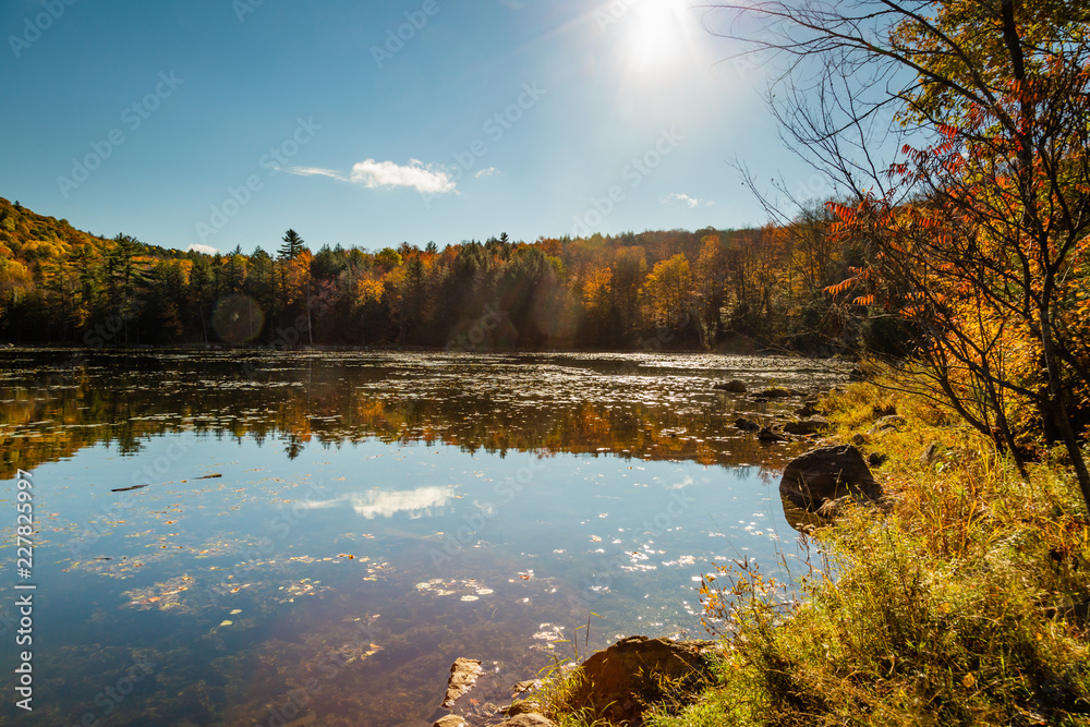 Obraz premium Mountain and colorful trees reflected in a pond on a beautiful autumn day