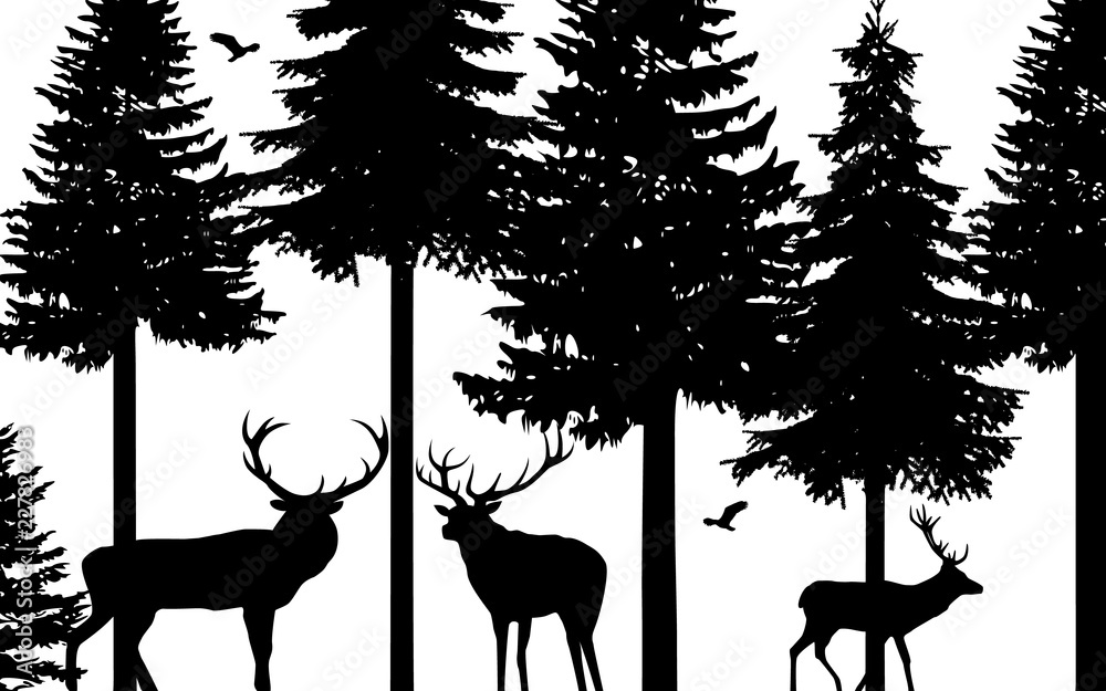Fototapeta premium Deers and fir trees
