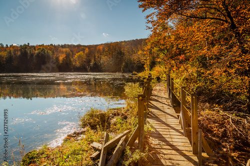 Wooden bridge crossing a pond on a beautful autumn day © Luc Pouliot