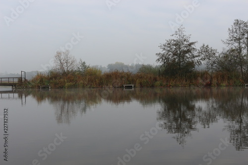 The shore of the forest lake is beautiful in early autumn