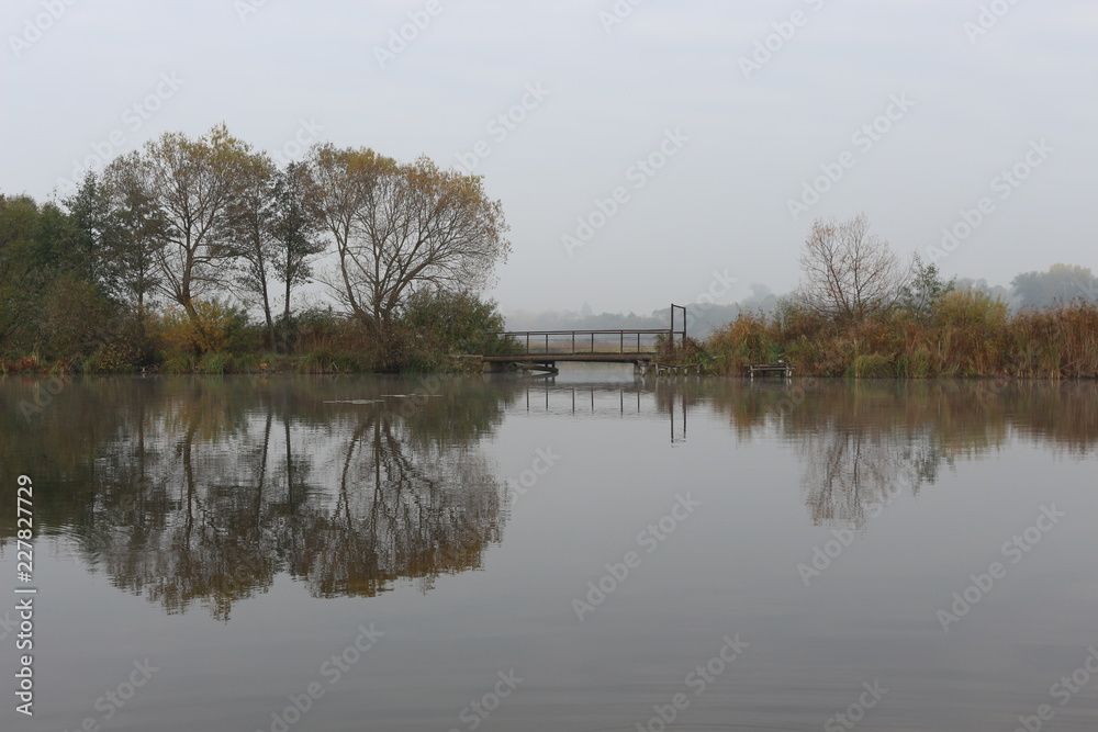 The shore of the forest lake is beautiful in early autumn The shore of the forest lake is beautiful in early autumn