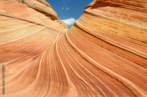 The Wave, sandstone in Coyote Buttes North, Arizona, USA