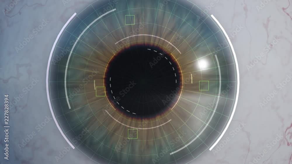 Human eye scan and recognition - 3D rendered animation. Computer vision and machine learning concept.