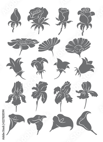 set flowers