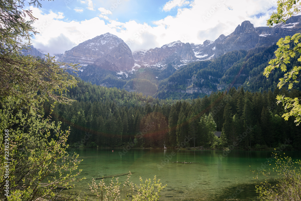 Fototapeta premium Blick auf den Tovelsee Naturpark Impressionen Italien Lago di Tovel