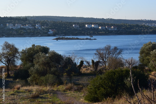 landscape with lake and trees