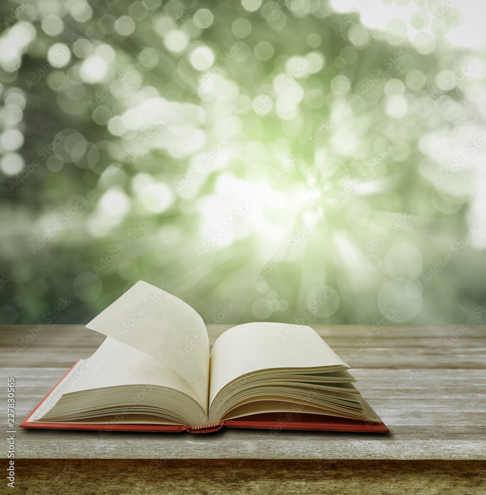 Open book on table and spring scene Open book on table and spring scene