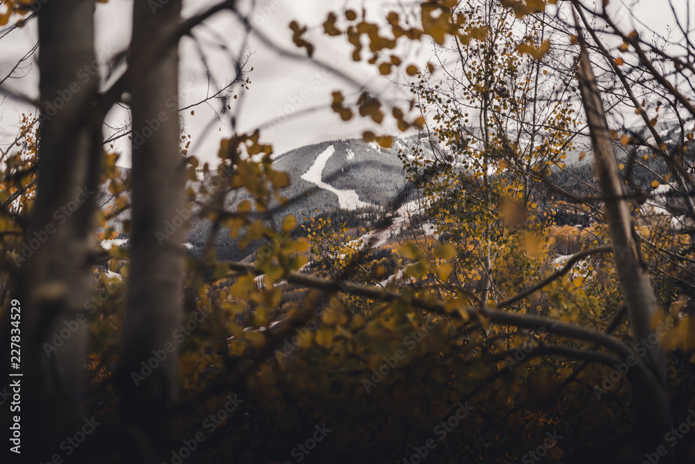 Ski runs at Vail, Colorado framed between autumn leaves after a snow storm. Ski runs at Vail, Colorado framed between autumn leaves after a snow storm.
