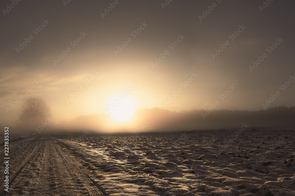 Fototapeta premium Winter road covered with snow at sunrise