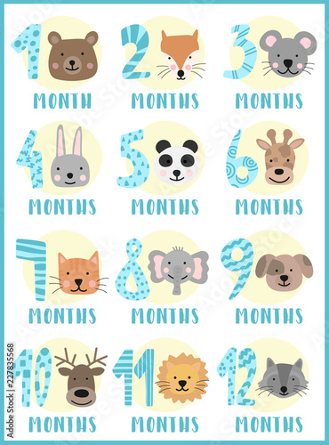 Wallpaper Mural Vector image of 12 months for a baby girl with animals. A collection of children's stickers with numbers and bear, fox, mouse, rabbit, panda, giraffe, cat, elephant, dog, deer, lion, raccoon. Torontodigital.ca