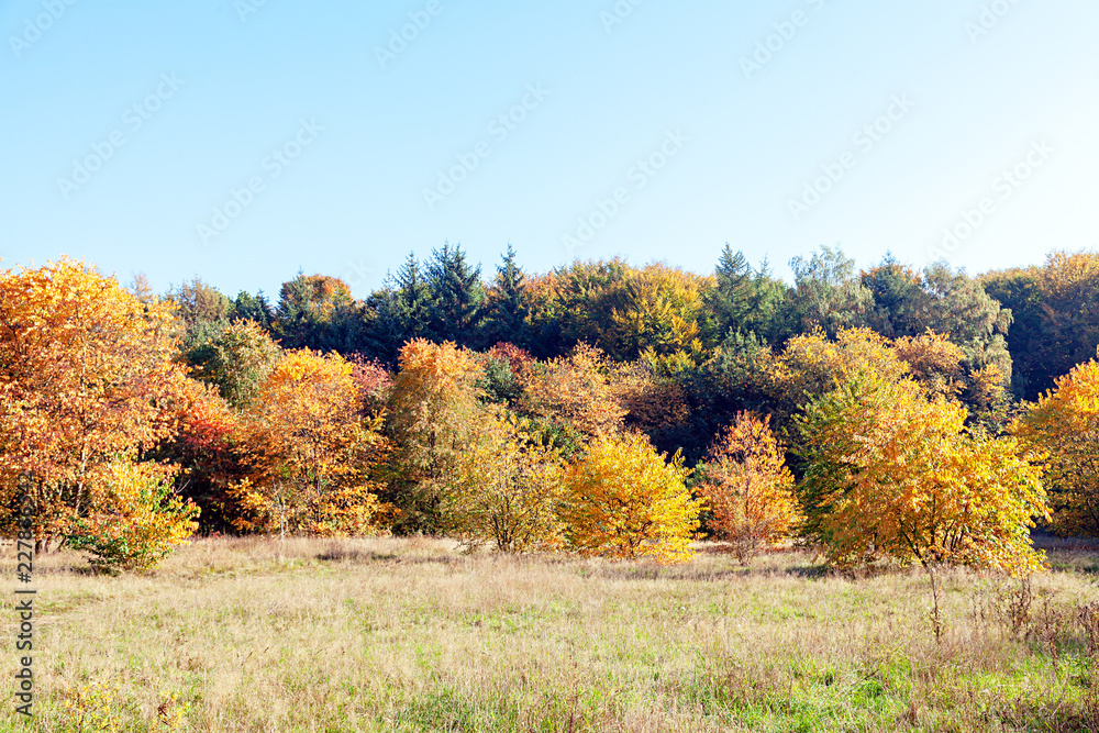 Indian Summer in Hamburg