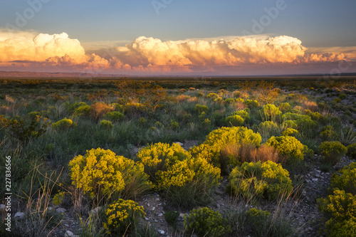 Konstfotografi The Desert comes to life with evening light in New Mexico
