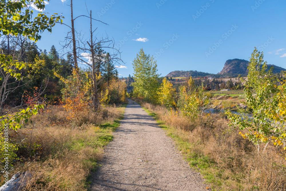 Path through forest in autumn with mountains and blue sky Path through forest in autumn with mountains and blue sky