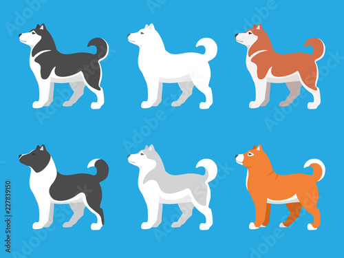 Dog set 1