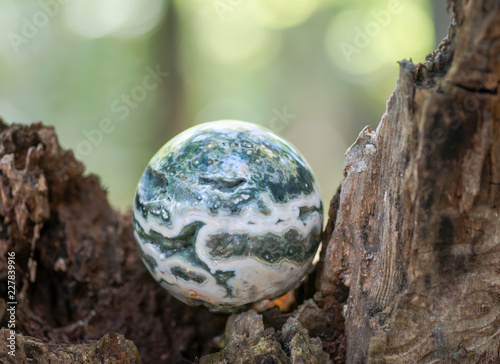 Orbicular ocean jasper sphere with crystallized vugs from Madagascar on moss, bryophyta and bark, rhytidome in forest preserve. photo