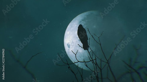 Silhouette of a tree with a crow and full moon at midnight.