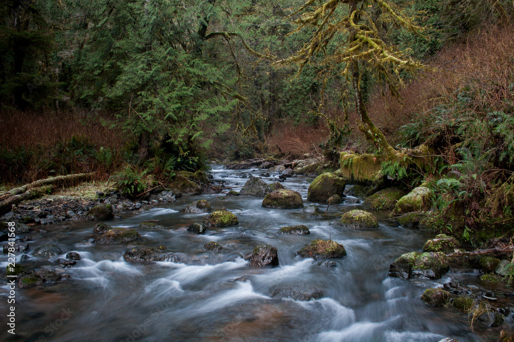 North Creek above