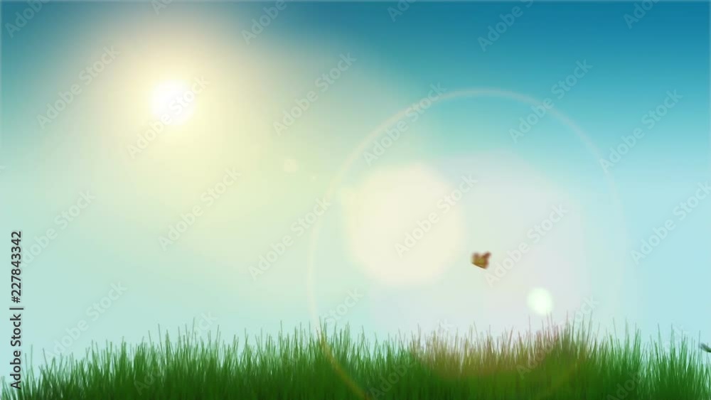 Beautiful spring meadow with exotic butterflies. Beautiful spring meadow with exotic butterflies.