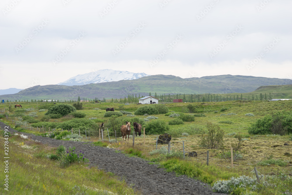 Berglandschaft auf der Fahrt ins isländische Hochland (Landmannalaugar, Þórsmörk) / Süd-Island