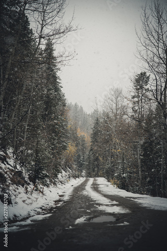 A dirt road in the mountains covered in snow during an autumn storm. 