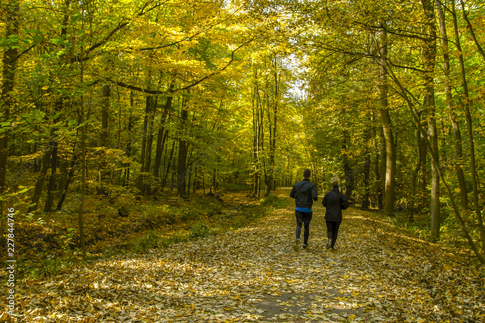 Fototapeta premium Young couple jogging together through in autumn park . Rear view. Active lifestyle concept.