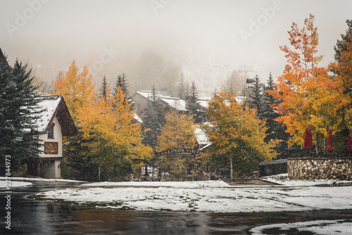 Colorful, autumn trees at Beaver Creek, Colorado during a fall snow storm. 