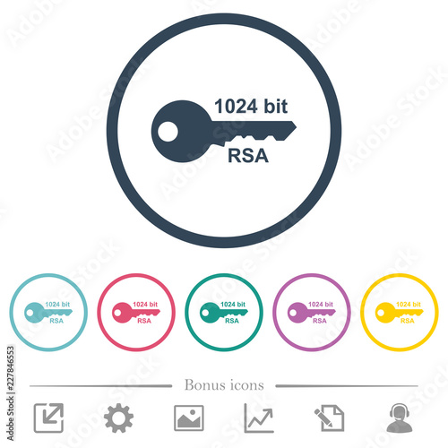 1024 bit rsa encryption flat color icons in round outlines photo