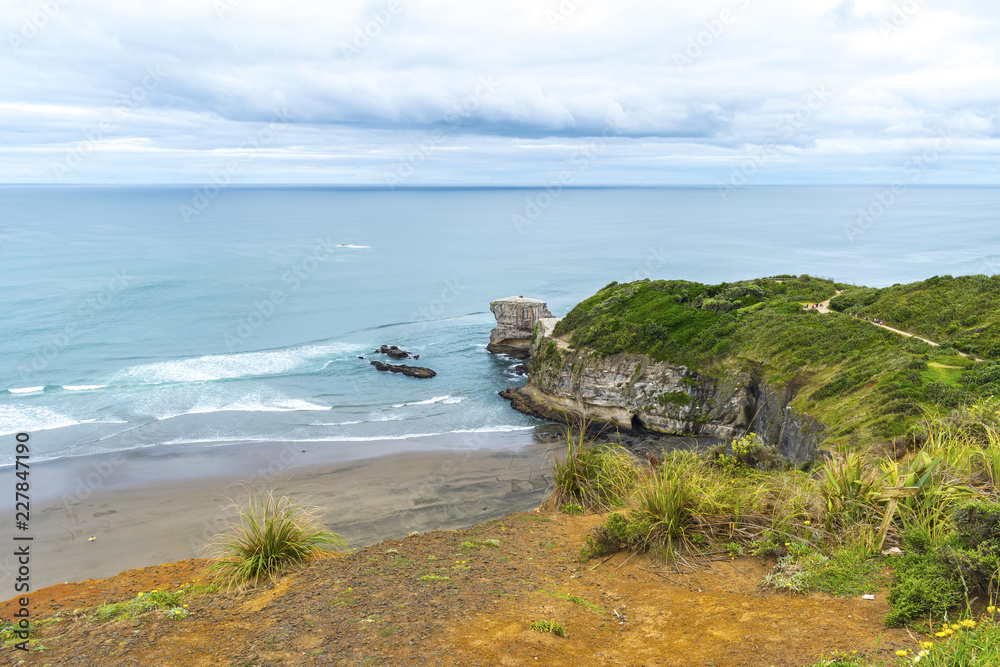 Panoramic View of Maori Bay Muriwai Beach, Auckland New Zealand